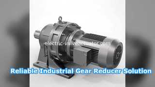 Guomao BLD Gear Reducer Reliable Industrial Power Solution