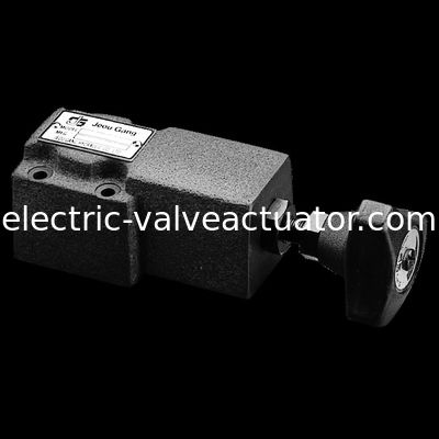 Un bon prix. Soupape de refoulement de bande de Jeou de valves de contrôle de la pression de soulagement de contrôle de DG.DT.Remote en ligne