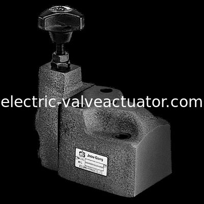 Un bon prix. Le pilote de sereis de la BG de bande de Jeou a actionné les valves BG-03 BG-06 BG-10 de contrôle de la pression de soupapes de sécurité en ligne