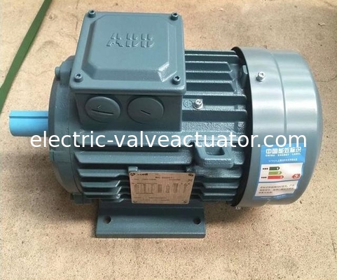Un bon prix. Série M2BA 380V IP55 NEMA Flang Foot monté sur 3 phases moteurs électriques à courant alternatif en ligne
