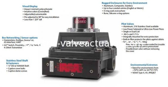 Un bon prix. TOPWORX DXP-T21GNEB Contrôleur programmable par ordinateur en acier inoxydable 316 antidéflagrant en ligne
