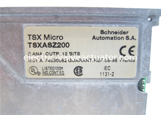 Un bon prix. Résultats analogiques de Schneider Electric TSXASZ200 TSX Micro 2 +- 10 V 0-20 4-20 mA en ligne