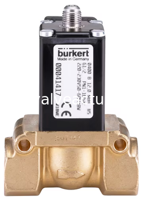 Un bon prix. Vanne à piston 2/2 voies servocommandée Burkert type 0400 pour les opérations de processus automatisées en ligne