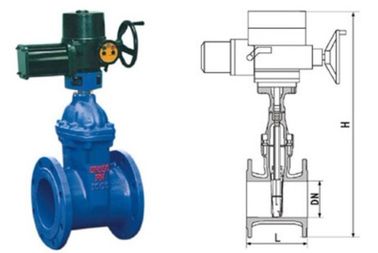 Un bon prix. Fonte grise posée résiliente électrique de valve de centrale de porte de RVEX 50 - 400mm en ligne