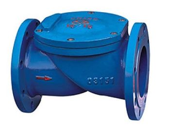 Un bon prix. Clapet anti-retour de disque en caoutchouc de bride de fer de fonte de H44X (SFCV) pour la pompe, fluide corrosif faible en ligne